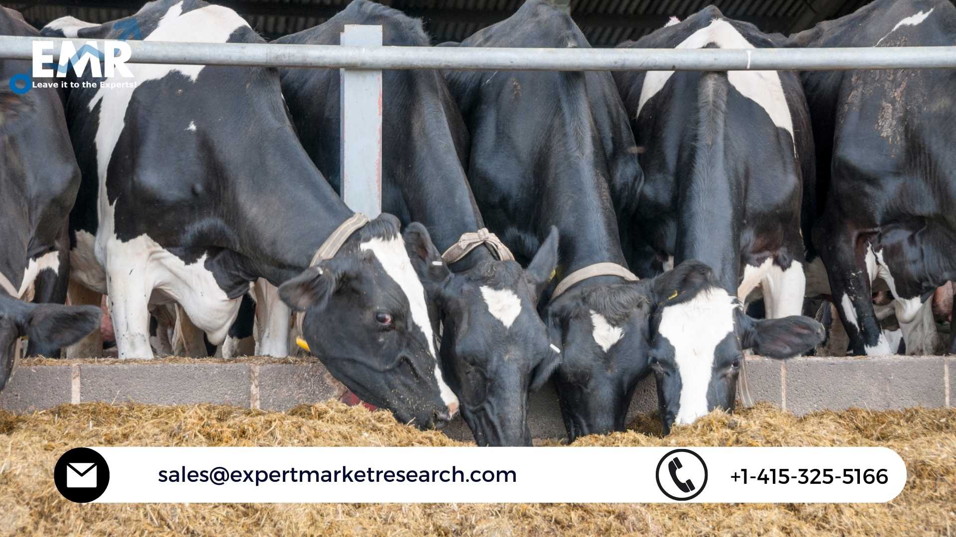 Global Cattle Feed Market Size, Share, Price, Growth, Key Players, Analysis, Report, Forecast 2023-2028 | EMR Inc.