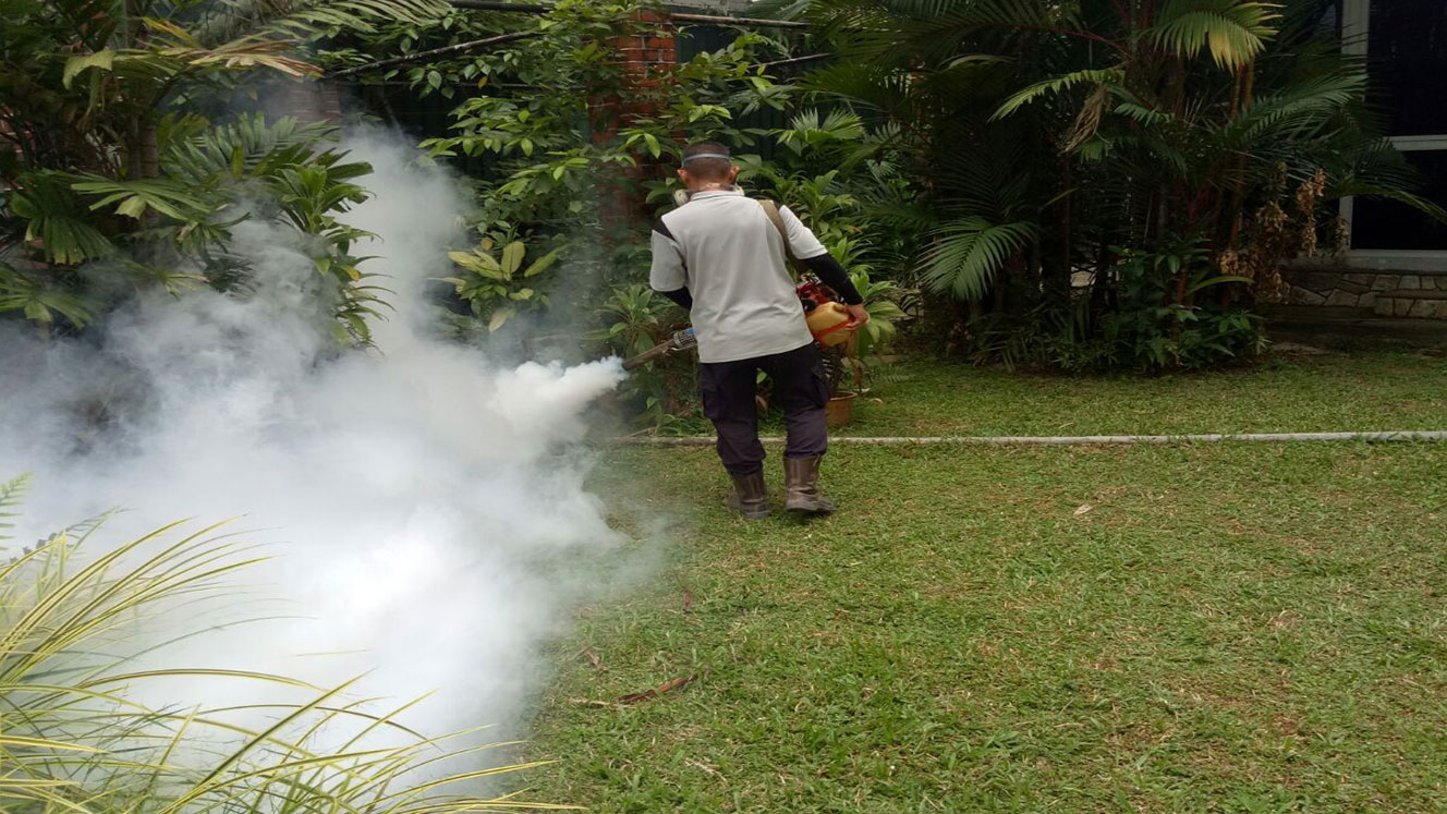 How the Professionals Offer Mosquito Control?