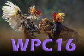 WPC16: How to Quickly Get to the Dashboard (2022) What Is WPC16?