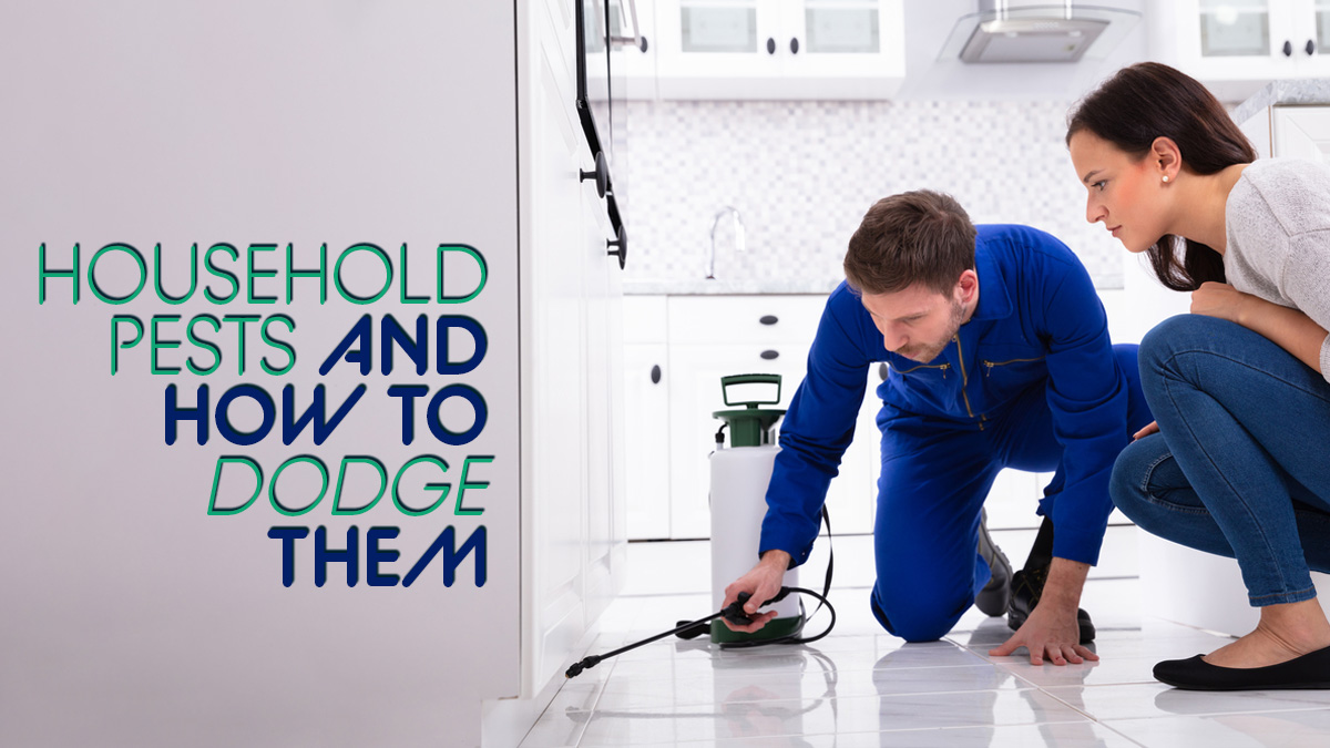 Household Pests and How to Dodge Them